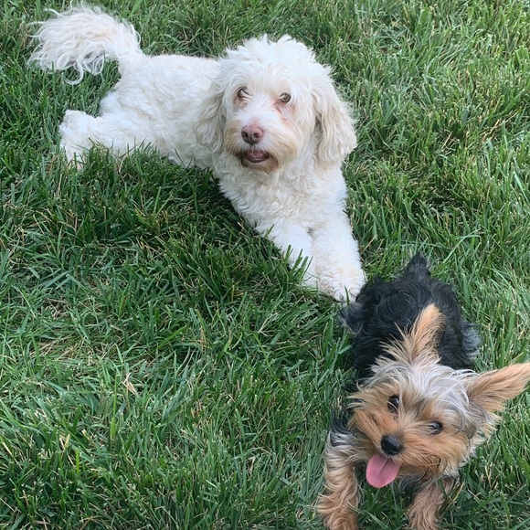 Meet your Posher, Simone - Picture 1 of 1